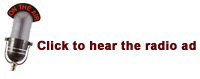 tl_files/cielomobile/images/MD Case Study/Microphone.png